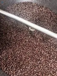Green Robusta Coffee Beans