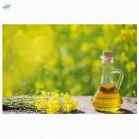 Premium Canola Oil Unique and Affordable