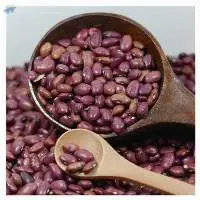 Dried dark Red Kidney Beans Wholesale