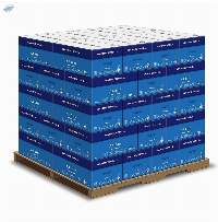 Hammermill Paper, 20 lb Copy Paper