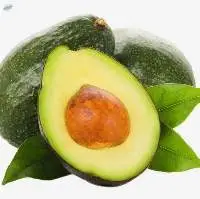 100% Pure Natural Avocado Fruit  