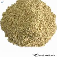 Shiitake Powder