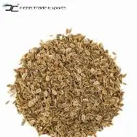Dill Seeds