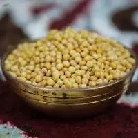 Yellow Mustard Seeds