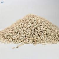 White Sesame Seeds