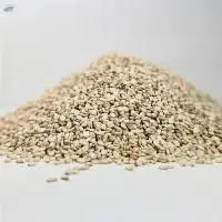 White Sesame Seeds