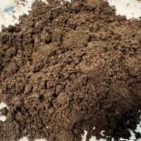 Cow Dung Manure (Enriched)