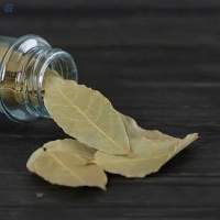 Bay Leaves (Tej Patta)