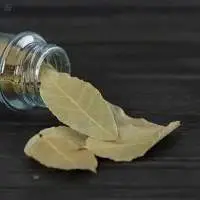Bay Leaves (Tej Patta)