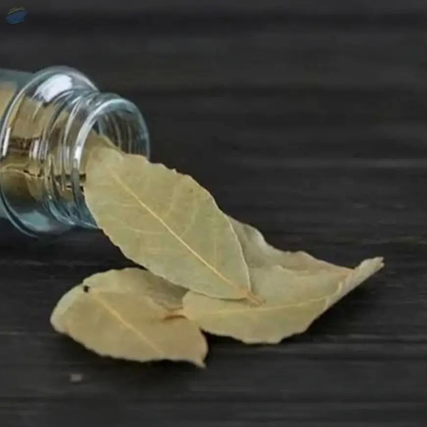 Bay Leaves (Tej Patta)