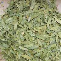 Senna Leaves