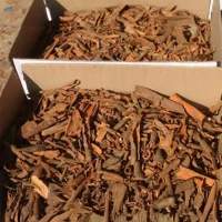 Cinnamon