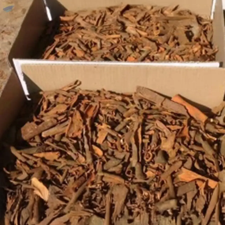 Cinnamon