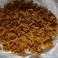 Turmeric Finger