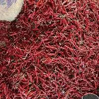 Dry Red Chilli