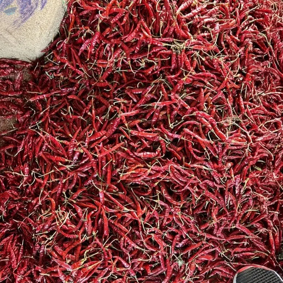 Dry Red Chilli