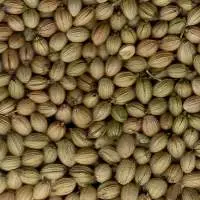 Coriander Seeds