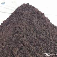 Cocopeat Powder
