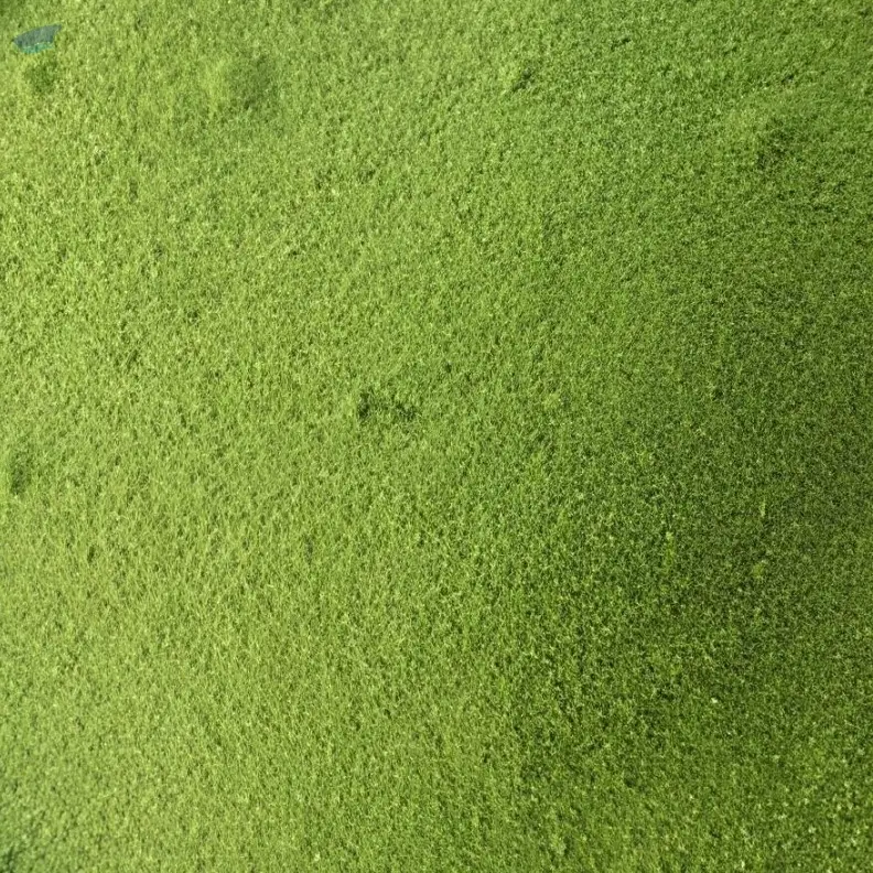 Natural Moringa Leaf Powder