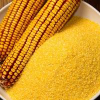 Corn Flour / Corn Meal