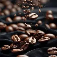 Robusta Coffee