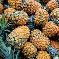 Pineapple