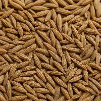 Cumin Seed Whole