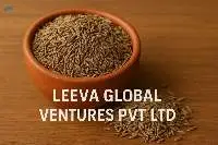 Cumin seeds