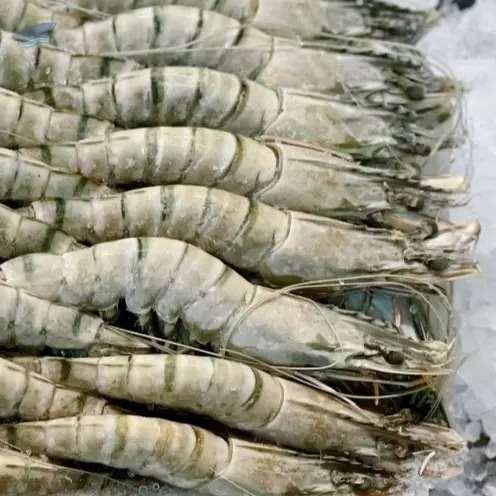 Frozen Prawns