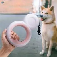 LED Snowman Dog Leash