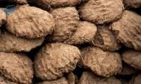 Cow Dung Cake