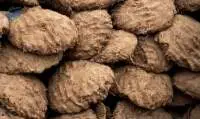 Cow Dung Cake