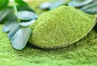 Moringa Powder