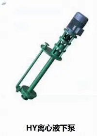 Submerged Pump