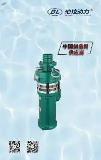 Small Submersible Sewage Pump