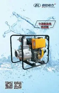 Portable Sewage Pumps