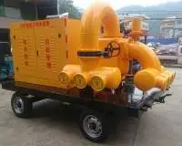 Fixed or Mobile High-Flow Drainage & Irrigation