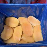 Frozen Mango