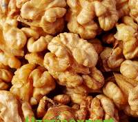 Walnut