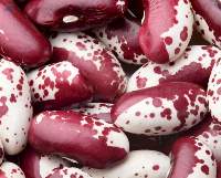 Kidney Beans