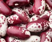 Kidney Beans