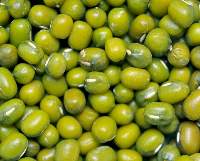 Mung beans