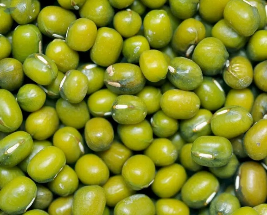 Mung beans