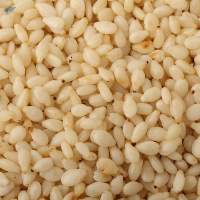 Sesame