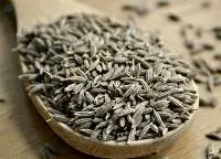 Cumin