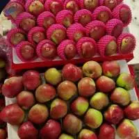 Premium Quality Fresh Uzbek Apple Fruits