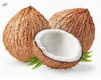 Fresh Semi Husked Indian Coconuts