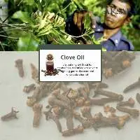 Clove Oil