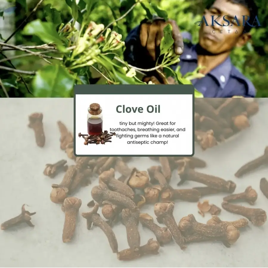 Clove Oil