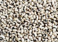 Premium Black-eyed Beans (Black-eyed Peas)